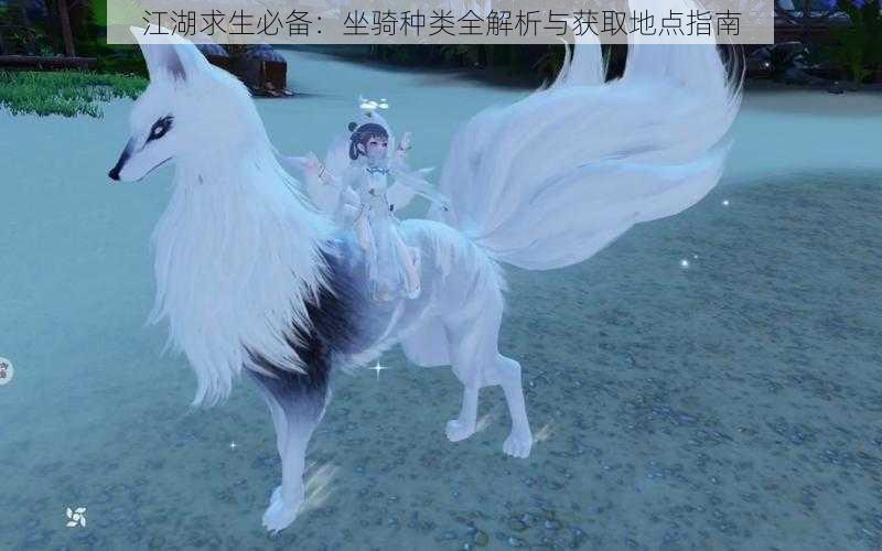 江湖求生必备:坐骑种类全解析与获取地点指南