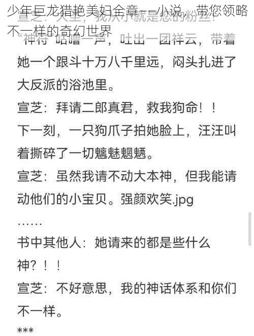 少年巨龙猎艳美妇全章——小说,带您领略不一样的奇幻世界