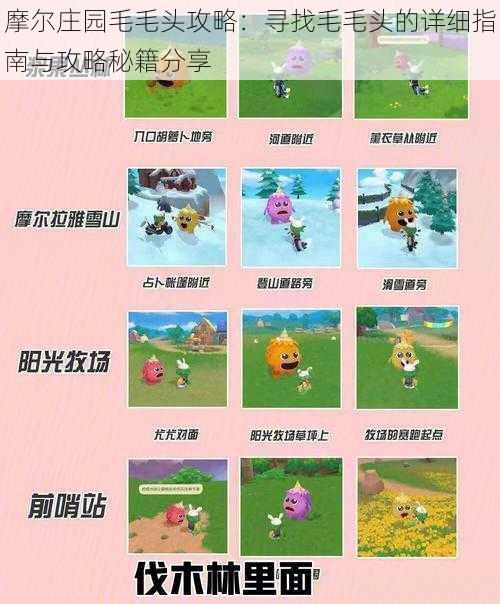 摩尔庄园毛毛头攻略:寻找毛毛头的详细指南与攻略秘籍分享