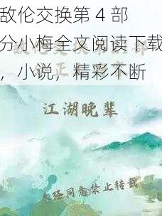 敌伦交换第 4 部分小梅全文阅读下载,小说,精彩不断