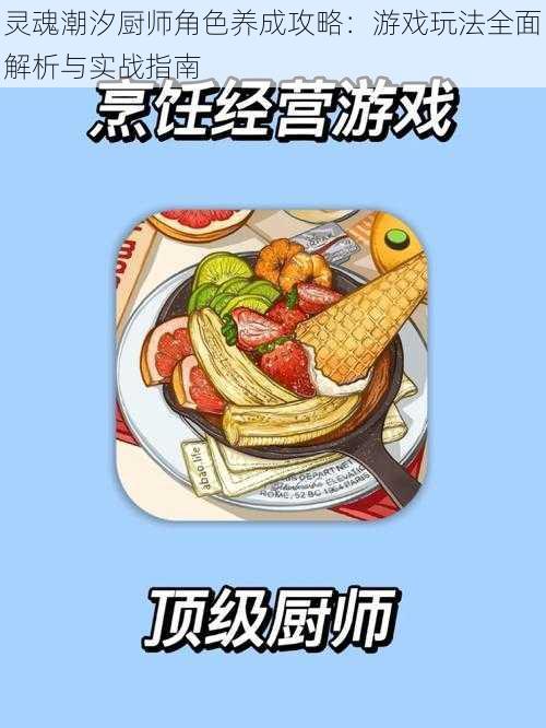 灵魂潮汐厨师角色养成攻略:游戏玩法全面解析与实战指南