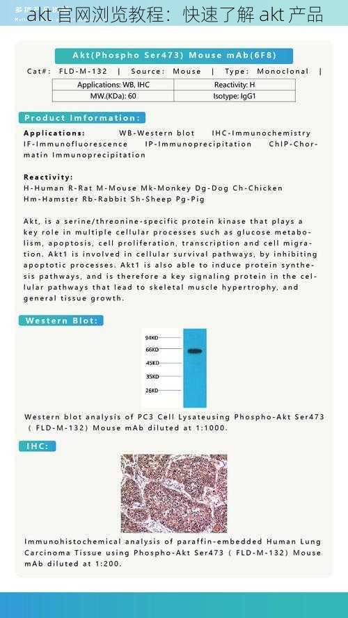 akt 官网浏览教程:快速了解 akt 产品