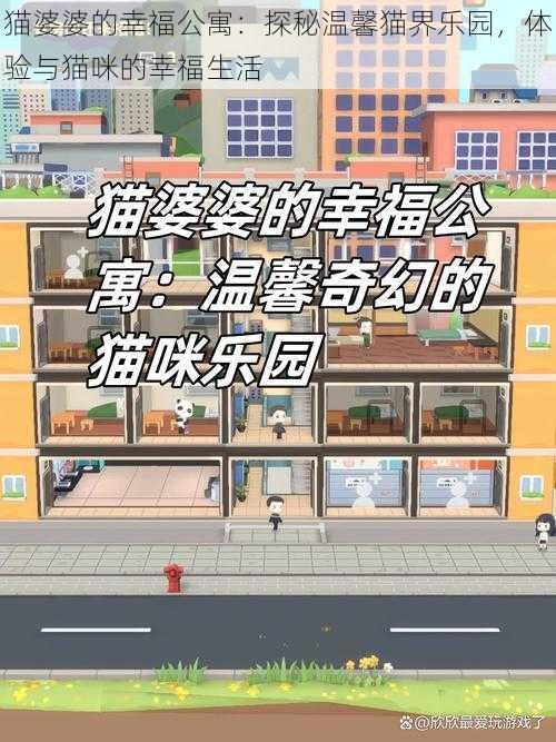 猫婆婆的幸福公寓:探秘温馨猫界乐园,体验与猫咪的幸福生活