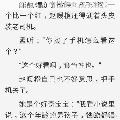 白洁小晶东子 67 章:产品介绍