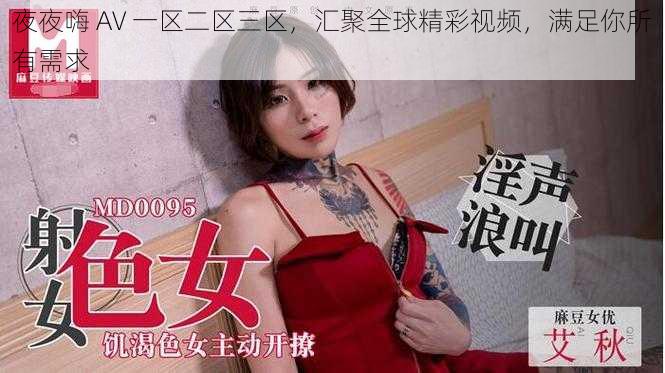 夜夜嗨 AV 一区二区三区,汇聚全球精彩视频,满足你所有需求