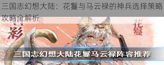 三国志幻想大陆:花鬘与马云禄的神兵选择策略攻略全解析