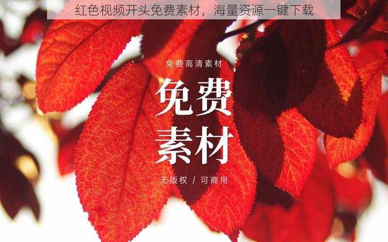 红色视频开头免费素材,海量资源一键下载