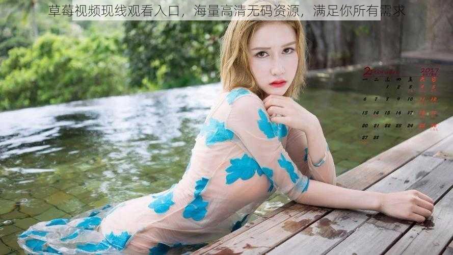 草莓视频现线观看入口,海量高清无码资源,满足你所有需求