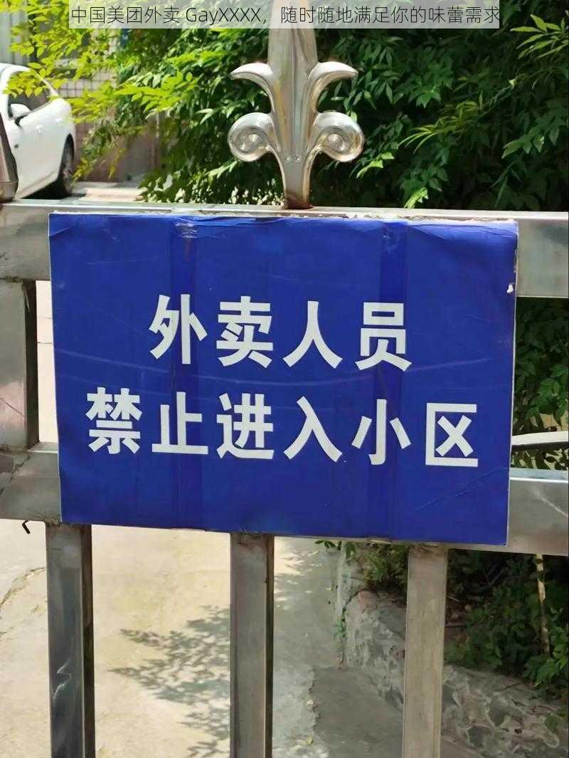 中国美团外卖 GayXXXX,随时随地满足你的味蕾需求