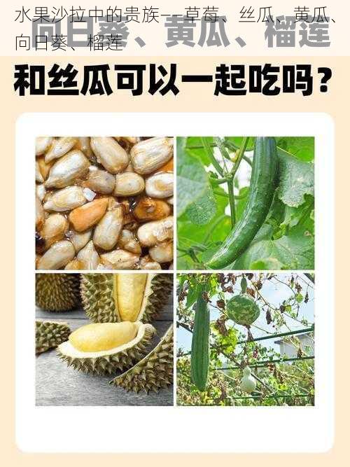 水果沙拉中的贵族——草莓、丝瓜、黄瓜、向日葵、榴莲
