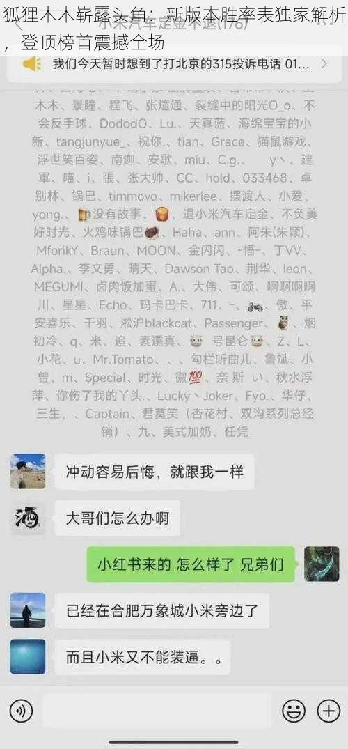 狐狸木木崭露头角:新版本胜率表独家解析,登顶榜首震撼全场