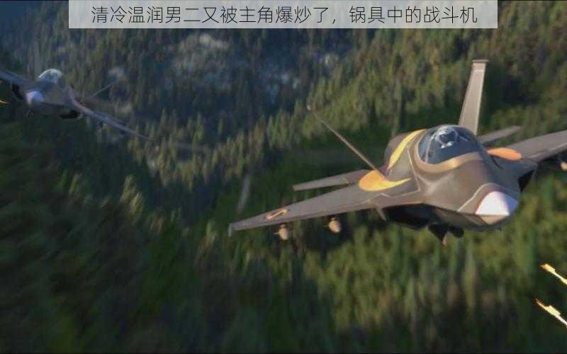 清冷温润男二又被主角爆炒了,锅具中的战斗机