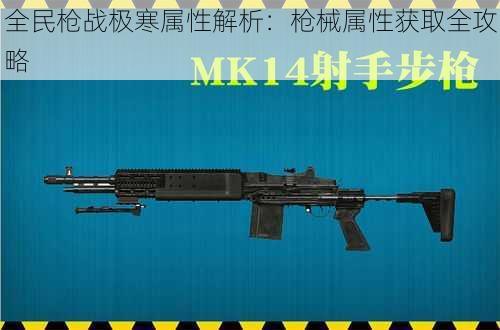 全民枪战极寒属性解析:枪械属性获取全攻略