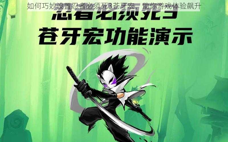 如何巧妙设置忍者必须死3苍牙宏,助你游戏体验飙升