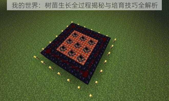 我的世界:树苗生长全过程揭秘与培育技巧全解析
