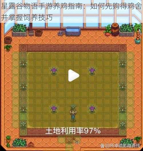 星露谷物语手游养鸡指南:如何先购得鸡舍并掌握饲养技巧