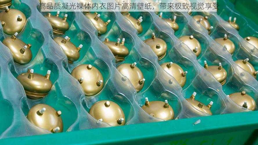 高品质凝光裸体内衣图片高清壁纸,带来极致视觉享受