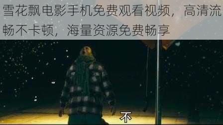雪花飘电影手机免费观看视频,高清流畅不卡顿,海量资源免费畅享