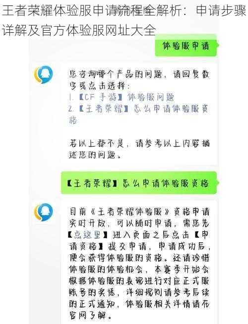 王者荣耀体验服申请流程全解析:申请步骤详解及官方体验服网址大全