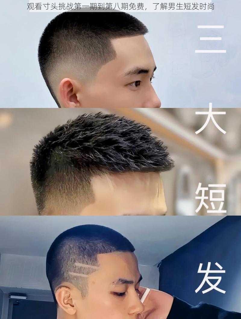 观看寸头挑战第一期到第八期免费,了解男生短发时尚