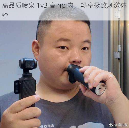 高品质喷泉 1v3 高 np 肉,畅享极致刺激体验