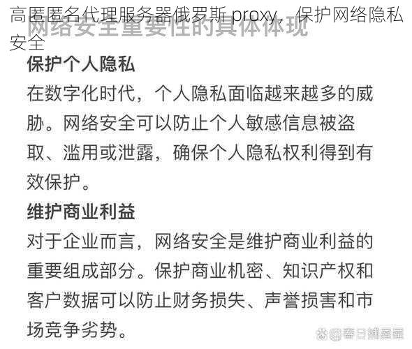 高匿匿名代理服务器俄罗斯 proxy,保护网络隐私安全