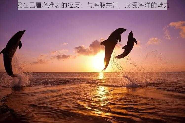 我在巴厘岛难忘的经历:与海豚共舞,感受海洋的魅力