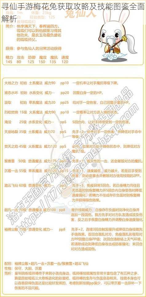 寻仙手游梅花兔获取攻略及技能图鉴全面解析