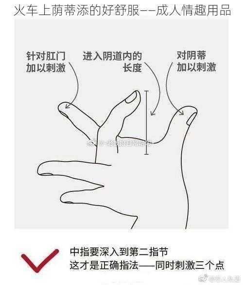 火车上荫蒂添的好舒服——成人情趣用品