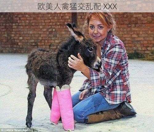 欧美人禽猛交乱配 XXX