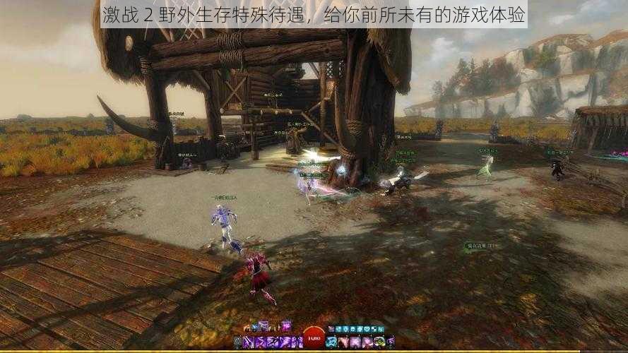 激战 2 野外生存特殊待遇,给你前所未有的游戏体验