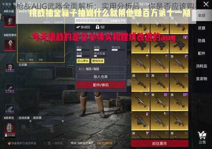 小米枪战AUG武器全面解析:实用分析后,你是否应该购买AUG?