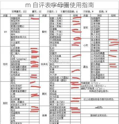 m 自评表字母圈使用指南