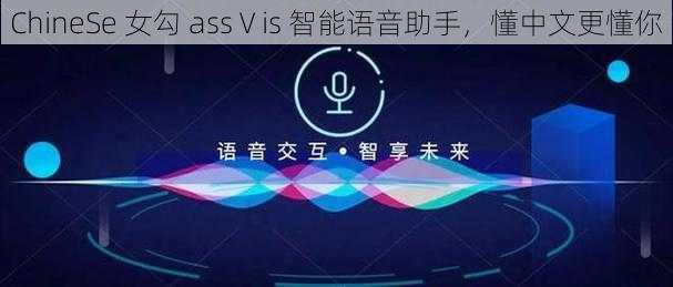 ChineSe 女勾 assⅤis 智能语音助手,懂中文更懂你