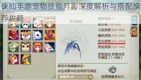 诛仙手游宠物技能月影深度解析与搭配推荐攻略