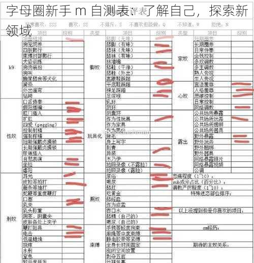 字母圈新手 m 自测表：了解自己，探索新领域