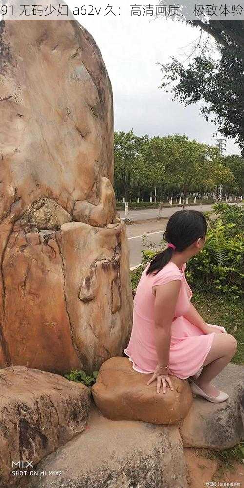 91 无码少妇 a62v 久:高清画质,极致体验