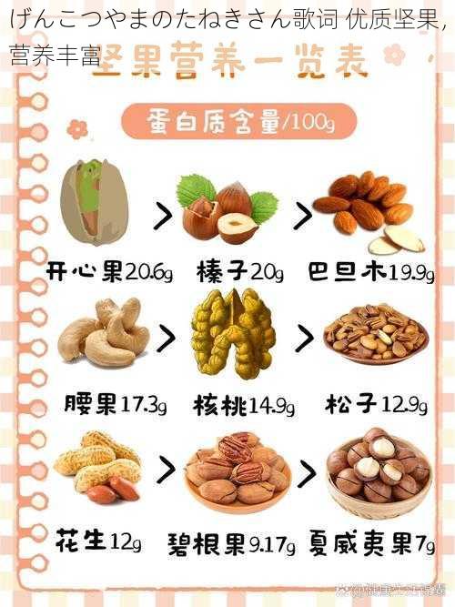 げんこつやまのたねきさん歌词 优质坚果,营养丰富