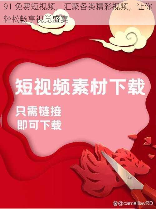 91 免费短视频,汇聚各类精彩视频,让你轻松畅享视觉盛宴