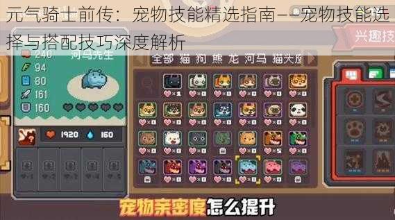 元气骑士前传:宠物技能精选指南——宠物技能选择与搭配技巧深度解析