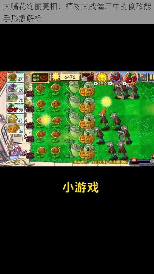 大嘴花绚丽亮相:植物大战僵尸中的食敌能手形象解析