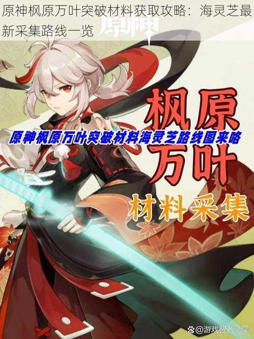 原神枫原万叶突破材料获取攻略:海灵芝最新采集路线一览