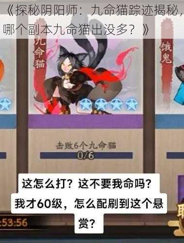 《探秘阴阳师:九命猫踪迹揭秘,哪个副本九命猫出没多?》