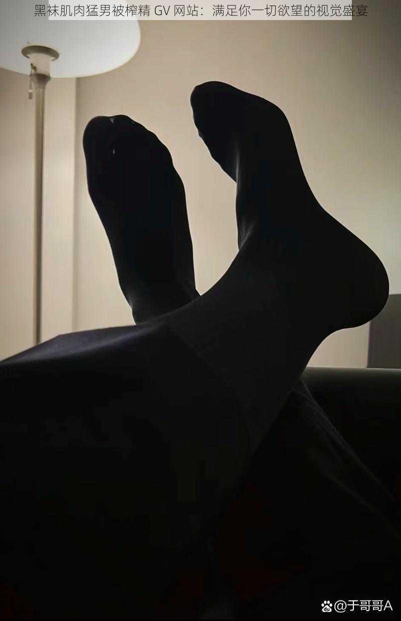 黑袜肌肉猛男被榨精 GV 网站:满足你一切欲望的视觉盛宴