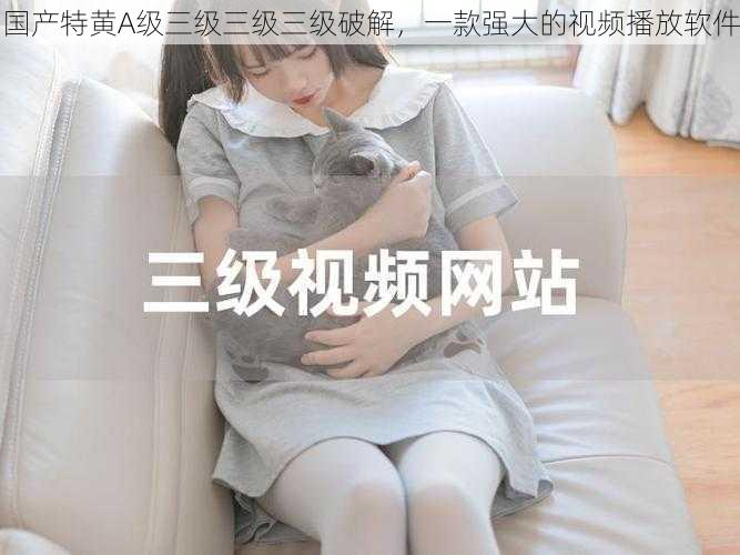 国产特黄A级三级三级三级破解,一款强大的视频播放软件