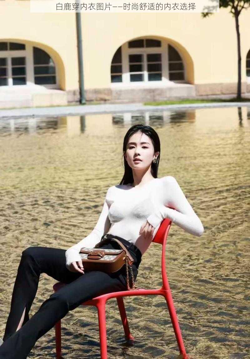 白鹿穿内衣图片——时尚舒适的内衣选择
