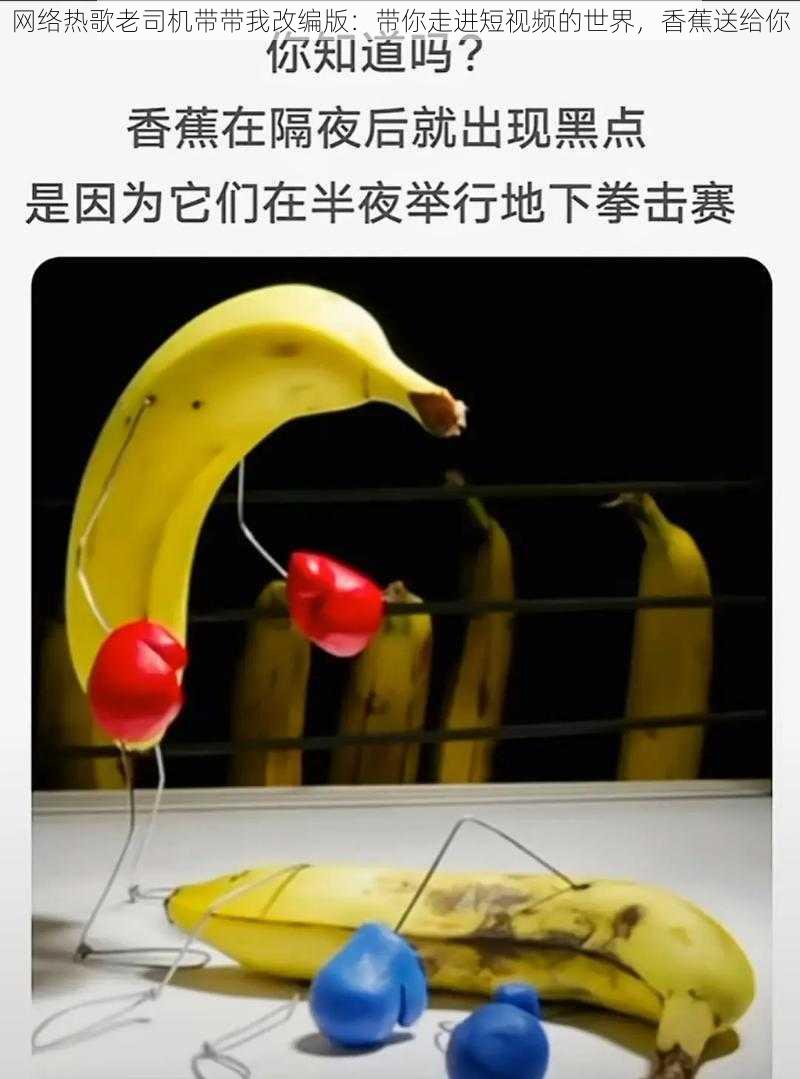 网络热歌老司机带带我改编版:带你走进短视频的世界,香蕉送给你