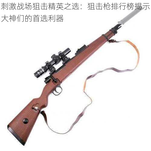 刺激战场狙击精英之选:狙击枪排行榜揭示大神们的首选利器