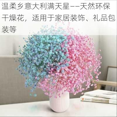 温柔乡意大利满天星——天然环保干燥花,适用于家居装饰、礼品包装等