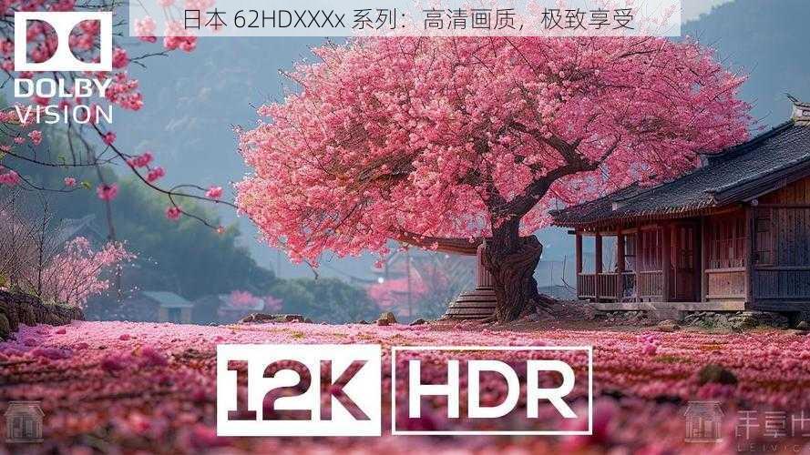 日本 62HDXXXx 系列:高清画质,极致享受